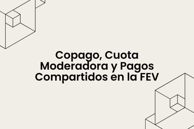 Copago, Cuota Moderadora